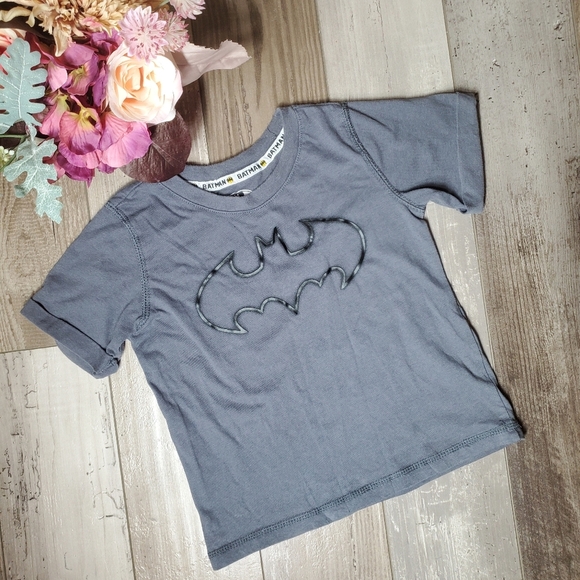 Batman Logo Gray and Black Toddler Boy Graphic Cuffed Sleeve T-Shirt Size 4T EUC - Picture 4 of 7